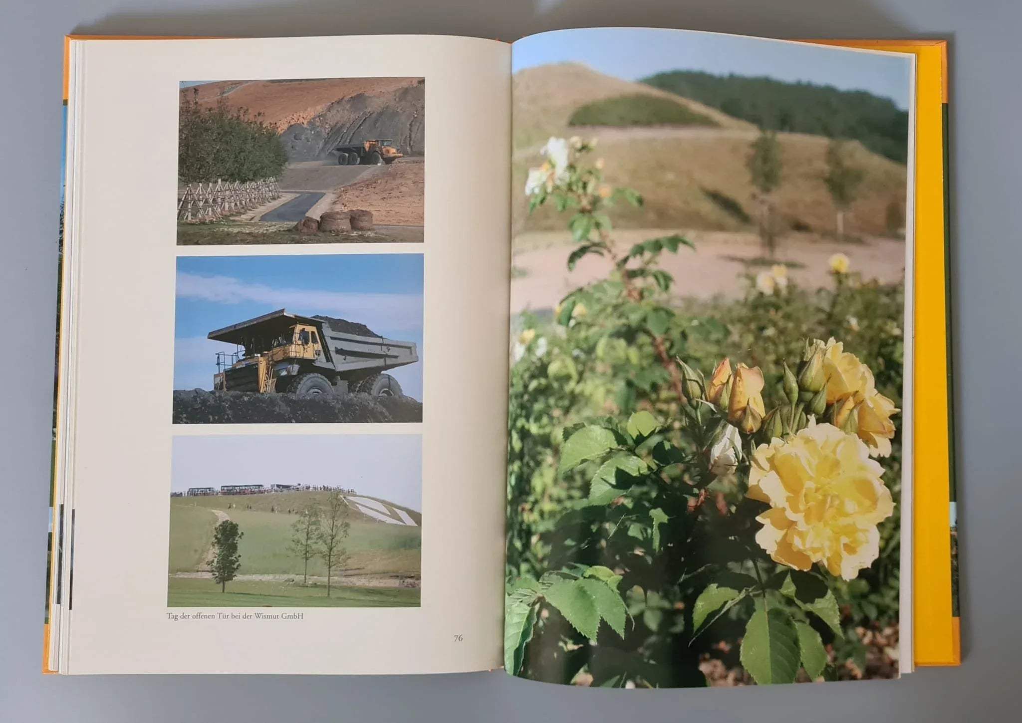 Buch: Bundesgartenschau 2007 Gera und Ronneburg - Eine Region verändert sich