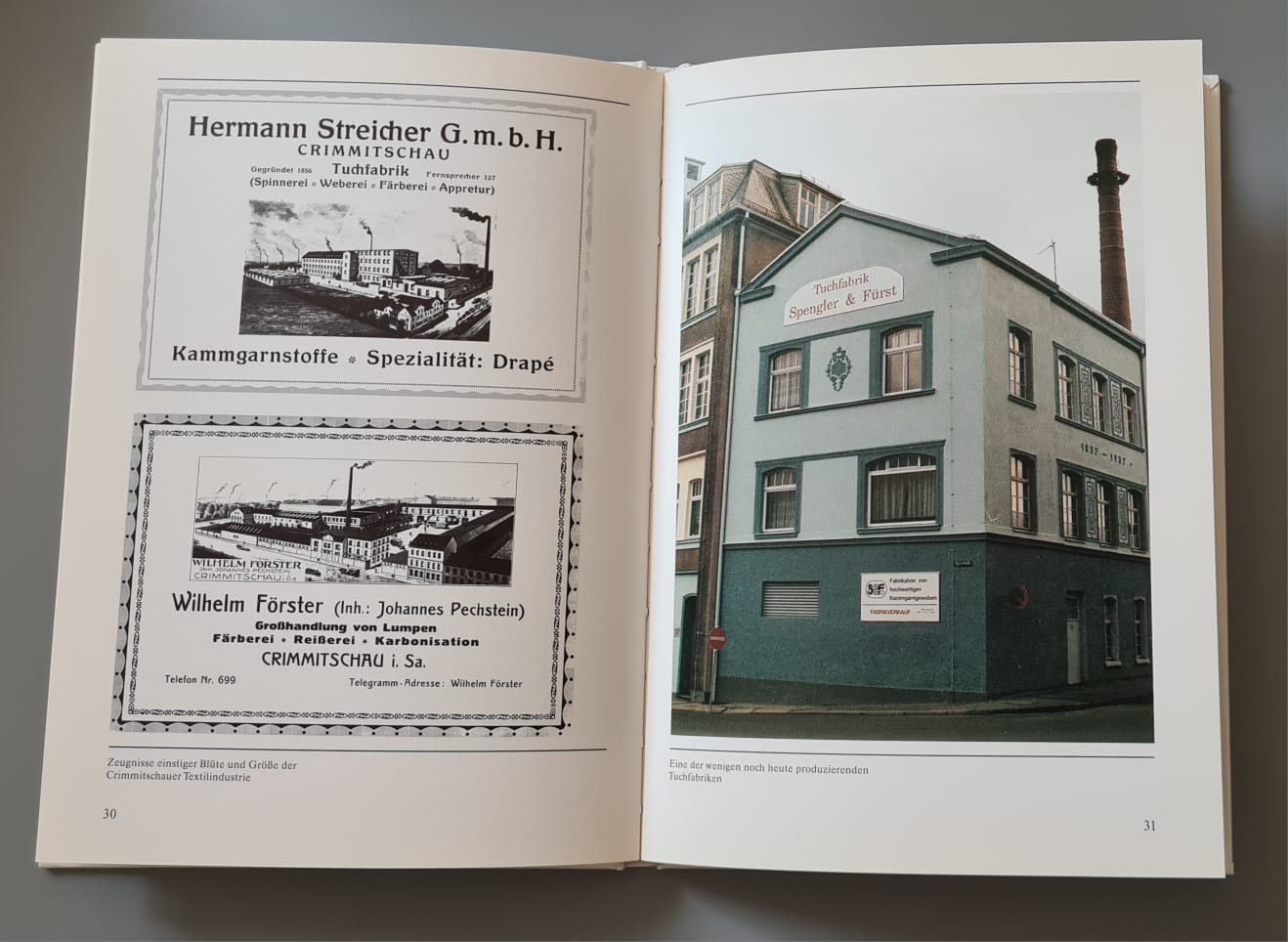 Buch: Crimmitschau - Militzke Verlag