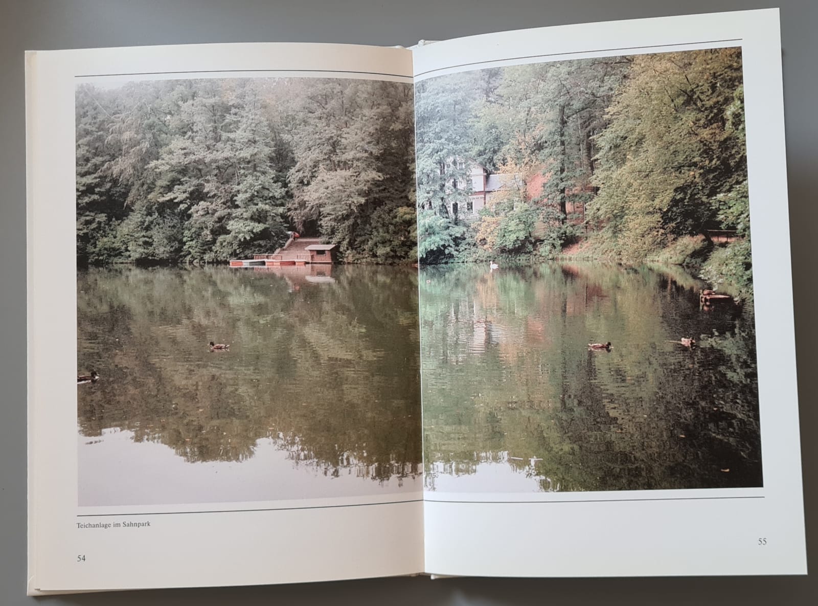 Buch: Crimmitschau - Militzke Verlag