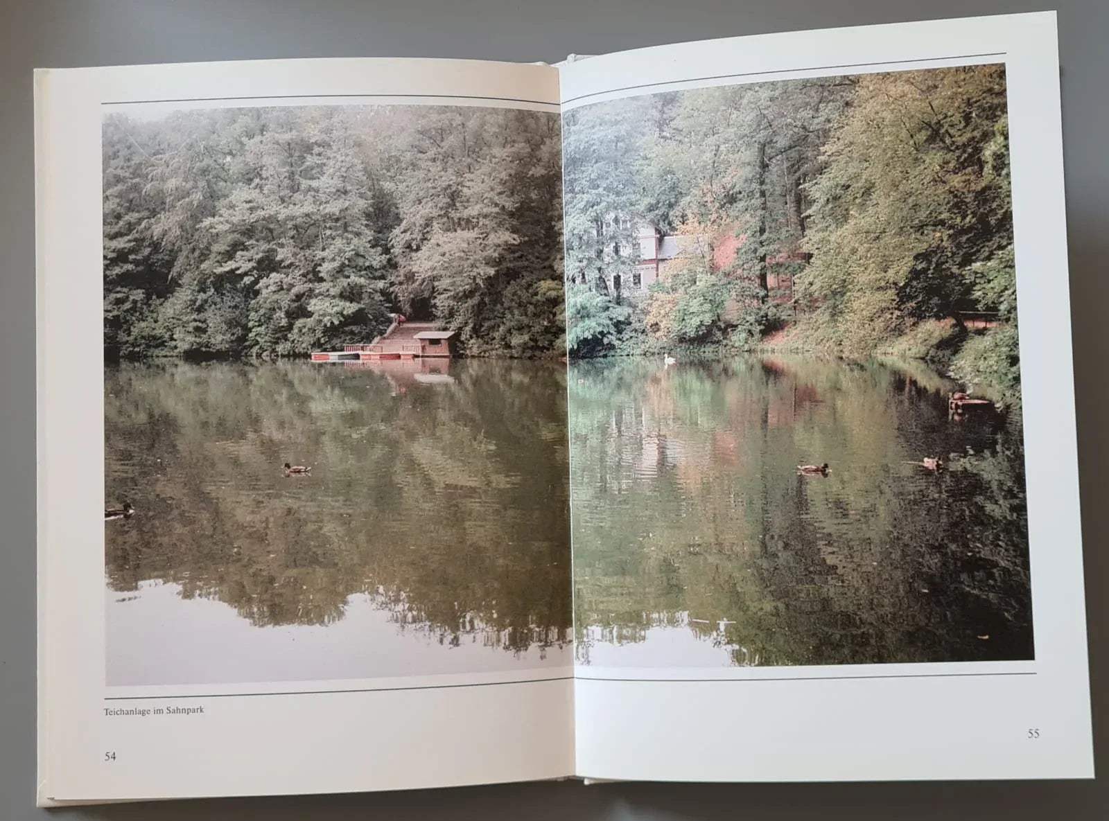Buch: Crimmitschau - Militzke Verlag