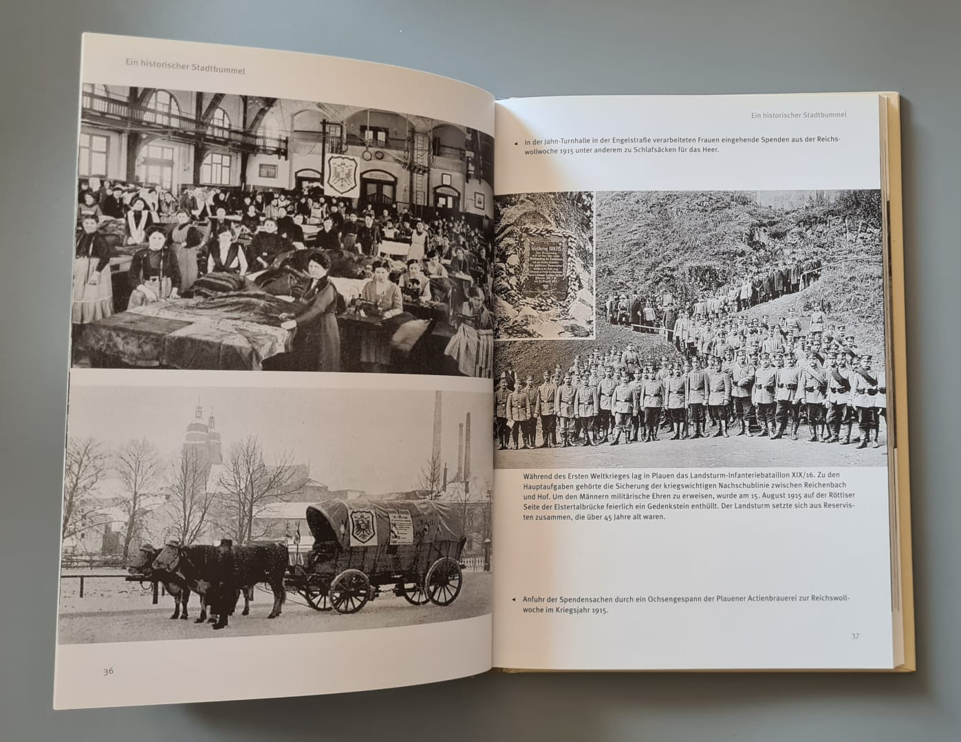 Buch: Plauen in historischen Bildern - Gero Fehlhauer