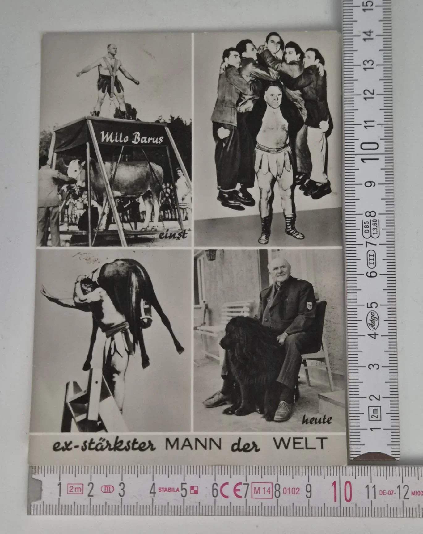 Original Autogrammkarte Milo Barus ex-stärkster Mann der Welt