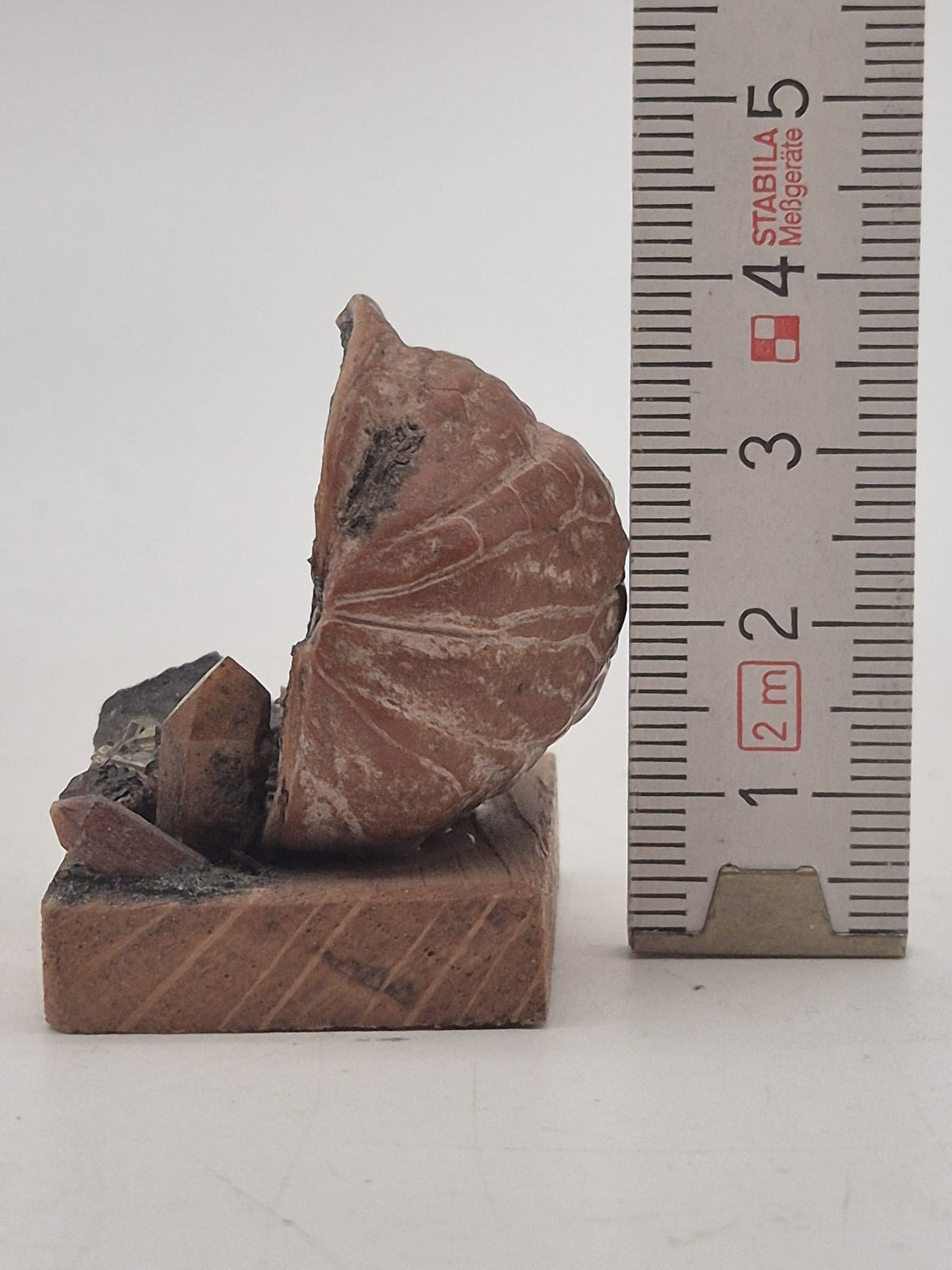 Miniatur-Bergwerk im Walnussschalen-Design – Bergmann mit Lore – Holz