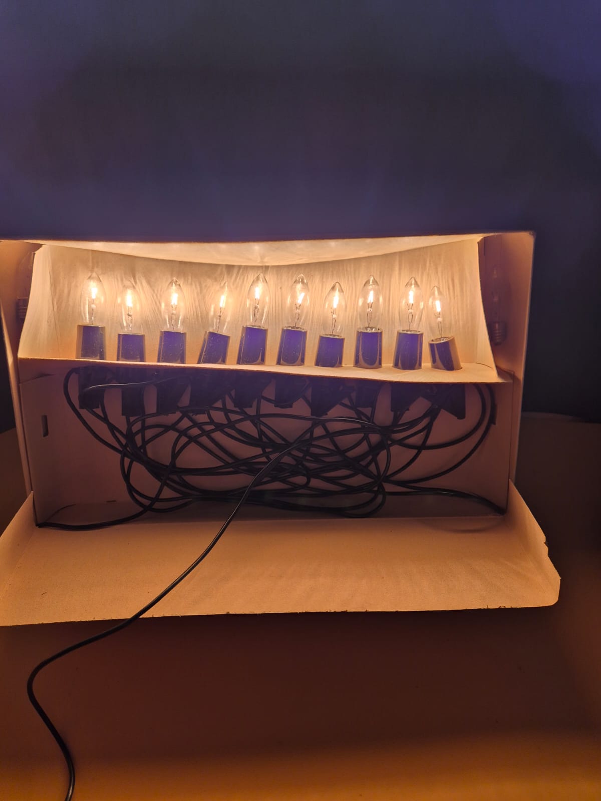 NARVA Lichterkette 10-teilig