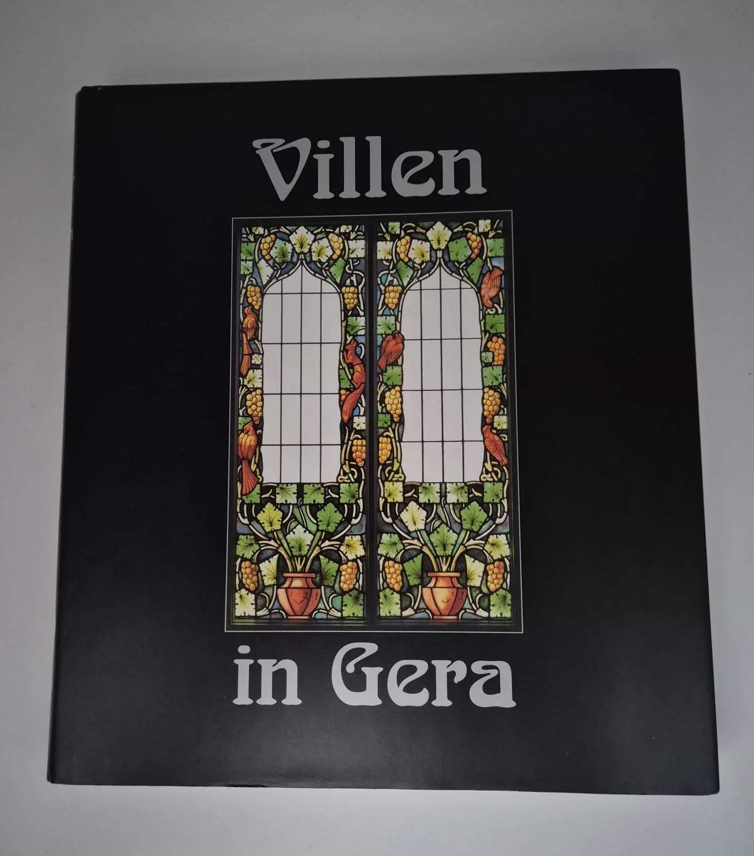 Überschrift
Villen in Gera (1) – Bildband zur Architekturgeschichte | RhinoVerlag 1997