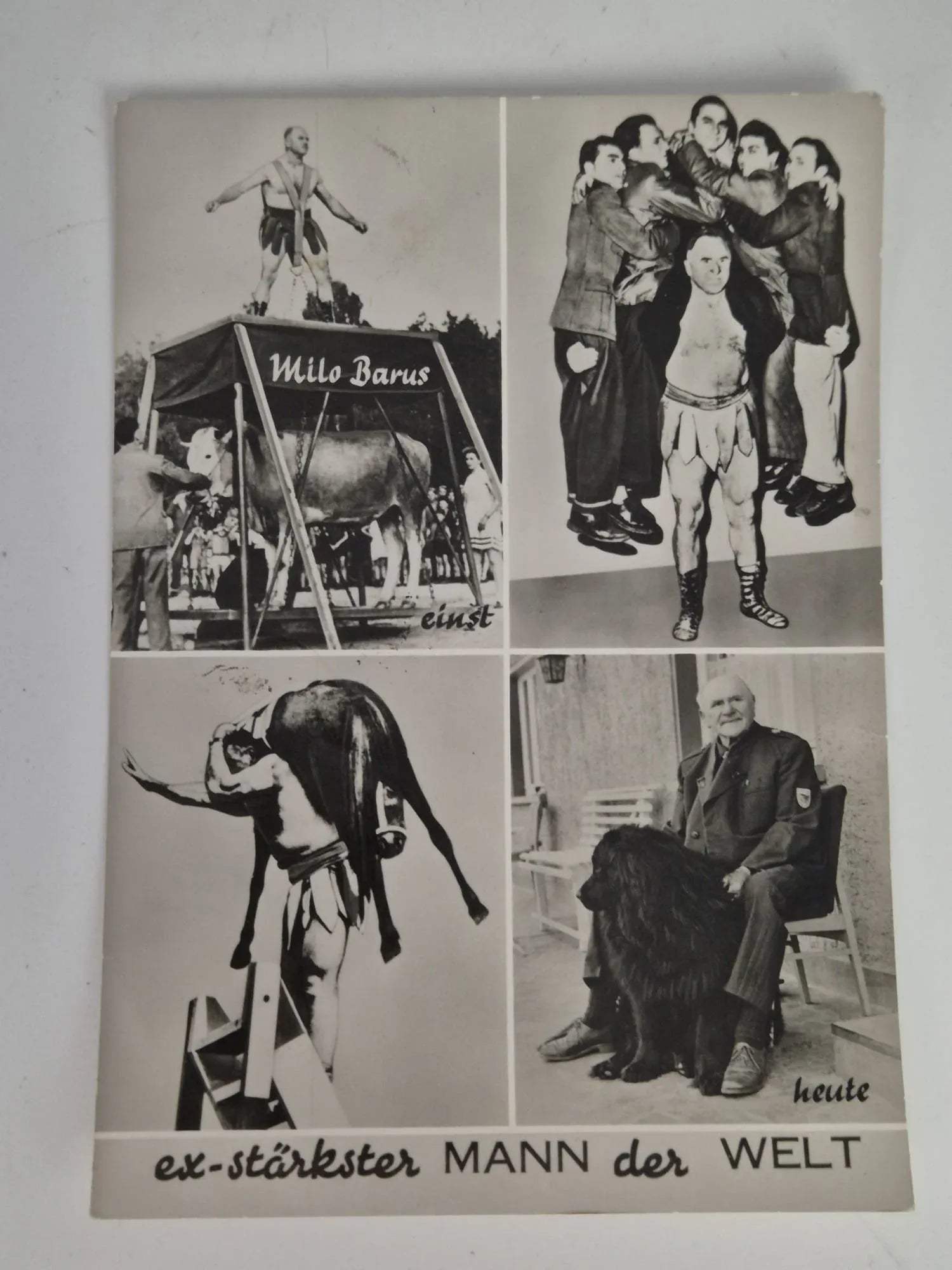 Original Autogrammkarte Milo Barus ex-stärkster Mann der Welt
